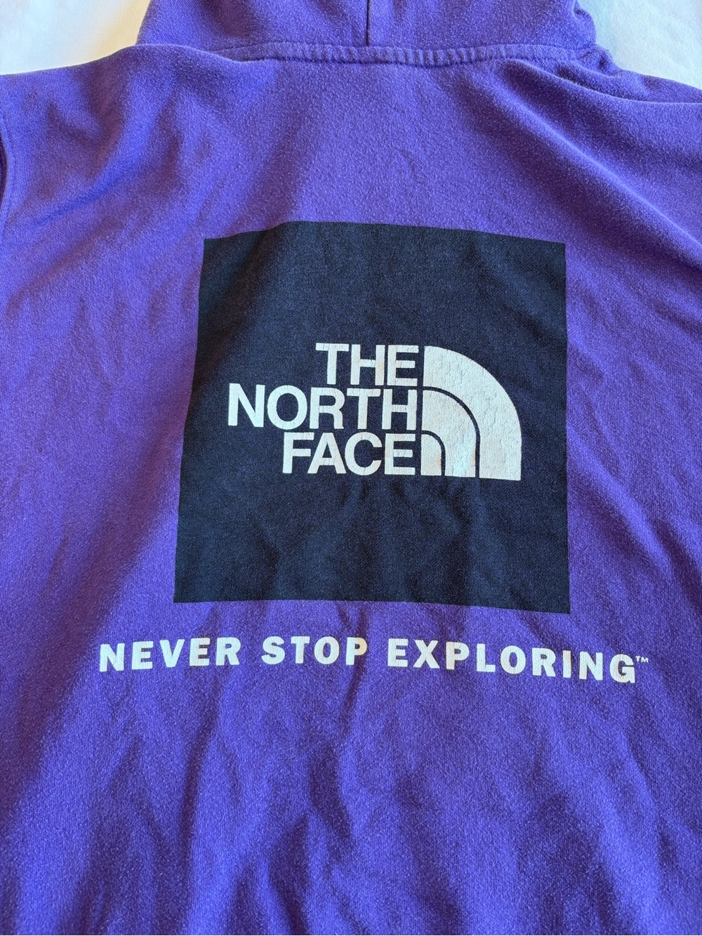 The North Face Men's Purple Hoodie Pullover - Picture 5 of 5